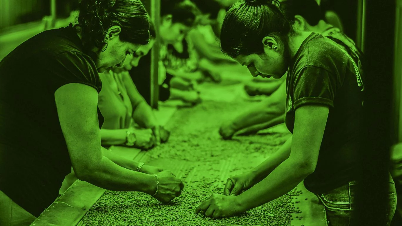 Women's Entrepreneurial Labour