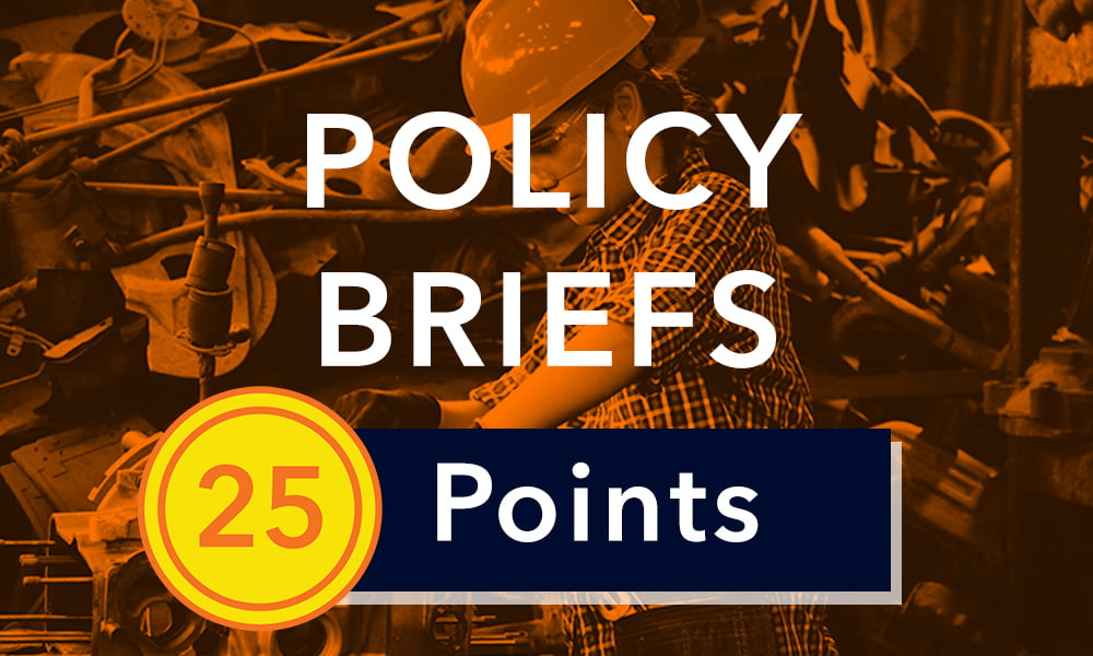 policy brief button - 25 points button
