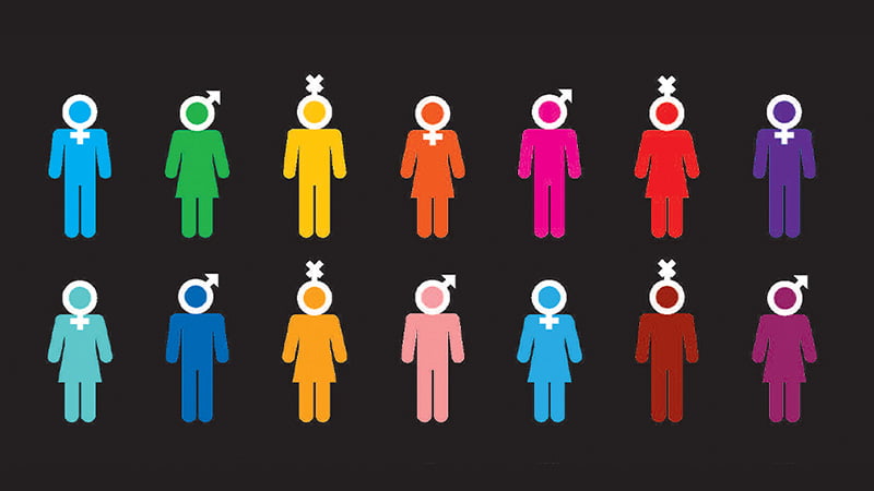 series of people icons in various colours with various gender icons assigned to their head